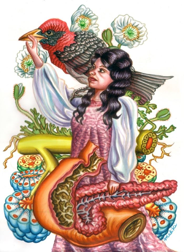 acuarela2web