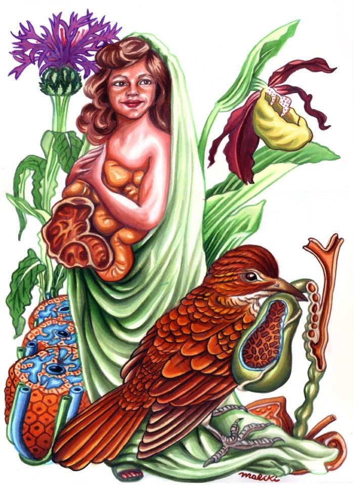 acuarela4web